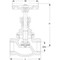 Klepafsluiter Type: 251A Brons Binnendraad (BSPP) PN16